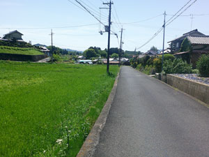 山田道
