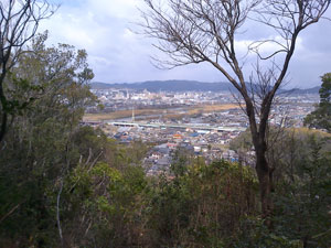 妻鹿(めが)城