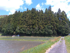 落山城