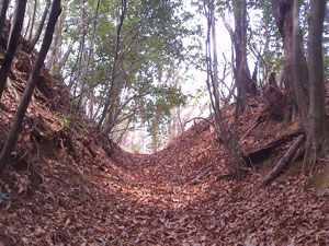 豊田城