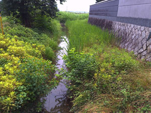 番条城