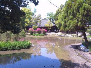 秦楽寺