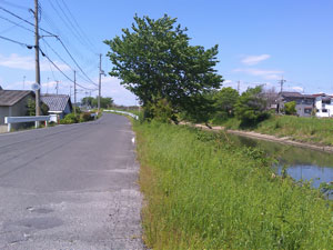 寺川
