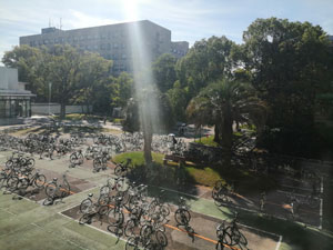 三重大学