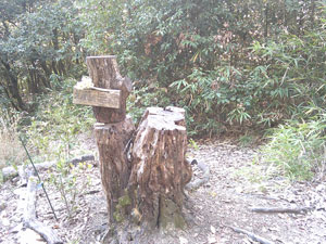 耳成山(天神山城)