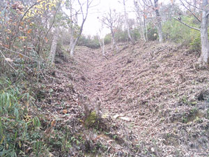 竹田城　畝上竪堀