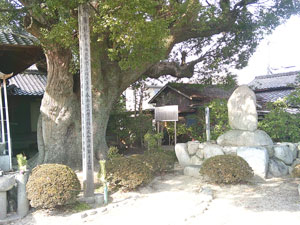 鯏浦(うぐいうらじょう)城