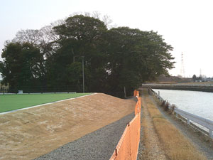 古木江城(こきえじょう)